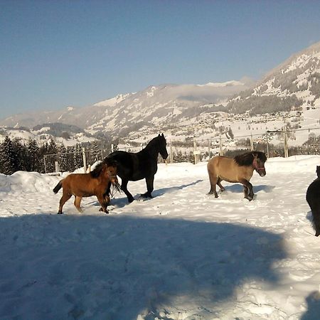 Weidinghof Appartement Sankt Veit im Pongau Buitenkant foto