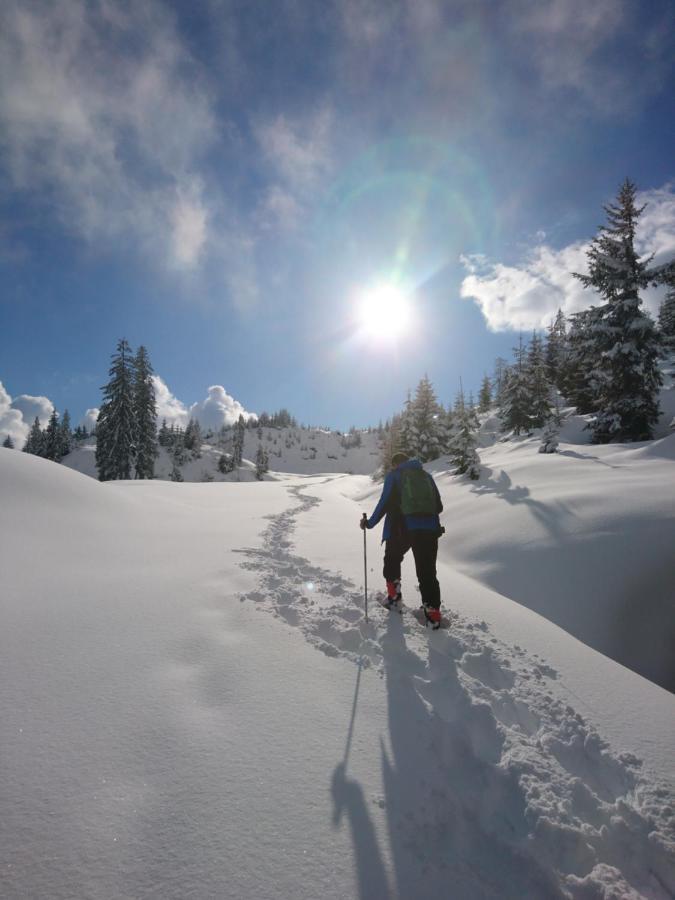 Weidinghof Appartement Sankt Veit im Pongau Buitenkant foto