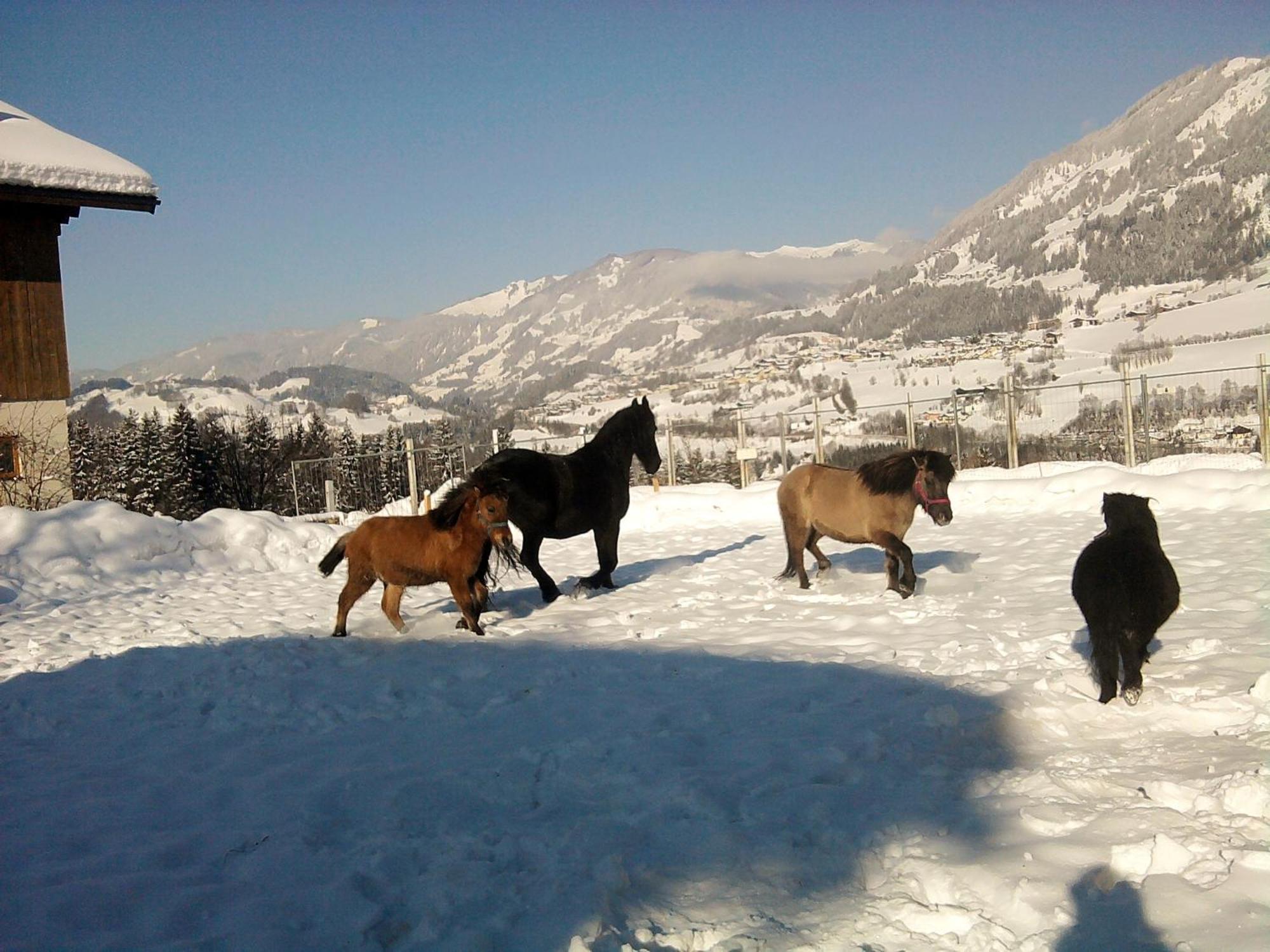 Weidinghof Appartement Sankt Veit im Pongau Buitenkant foto